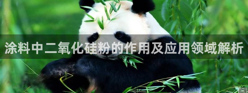 爱游戏中国官方网站