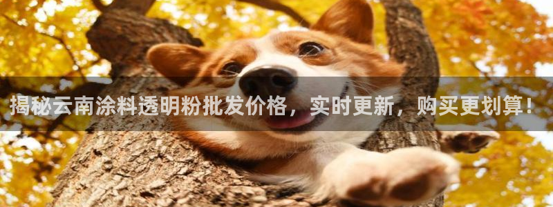 爱游戏app官网信誉好13