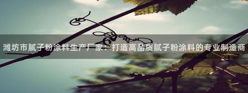 爱游戏客户端官网入口