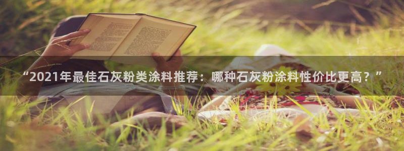 爱游戏直播平台：“2021年最佳石灰粉类