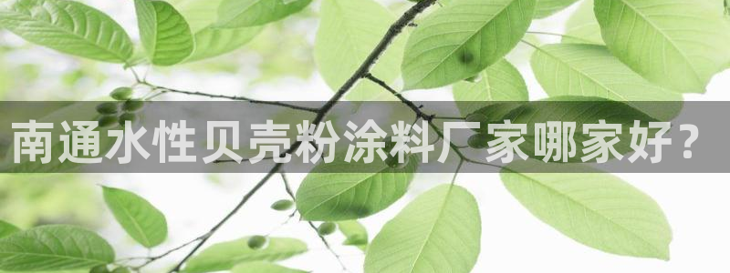 爱游戏app平台官网专业版