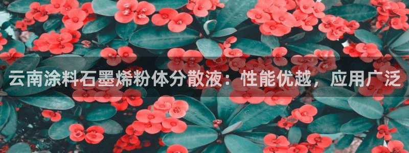 爱游戏app官网有实力05