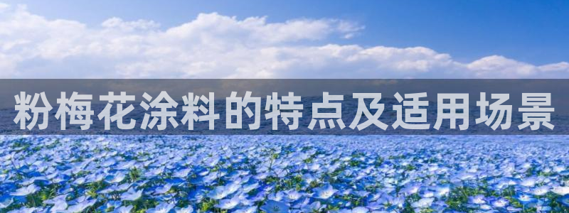爱游戏电子官网