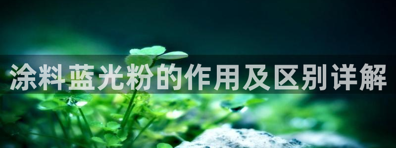 爱游戏乐鱼