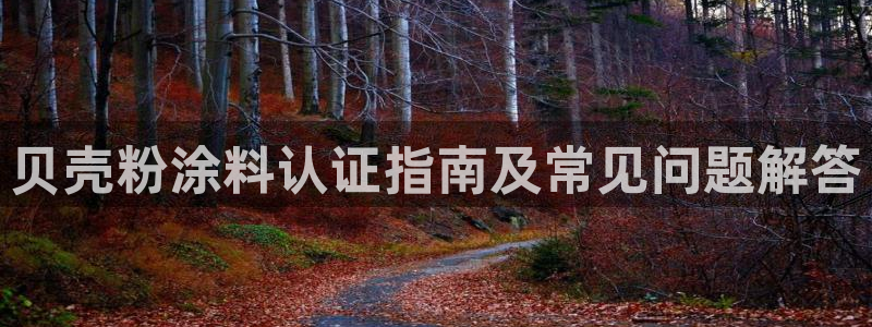 爱游戏中国官方网站