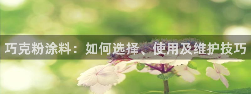爱游戏ayx官网