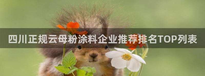 爱游戏平台在哪