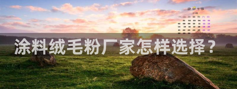 爱游戏客户端官网入口