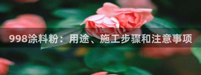 爱游戏电子竞技平台下载