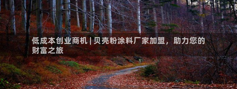 爱游戏全站官网入口
