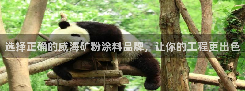 爱游戏电子竞技平台官网首页