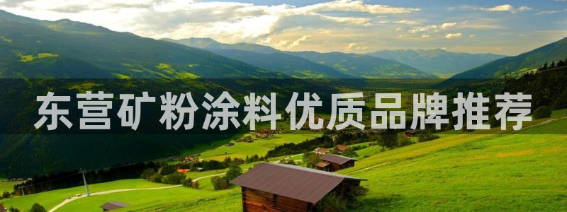 爱游戏app平台官网专业版