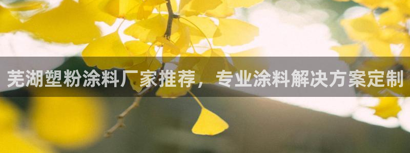 爱游戏官网赞助意甲14