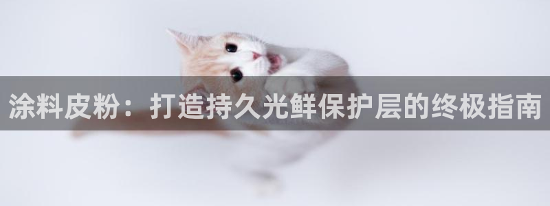 爱游戏app官网有实力04