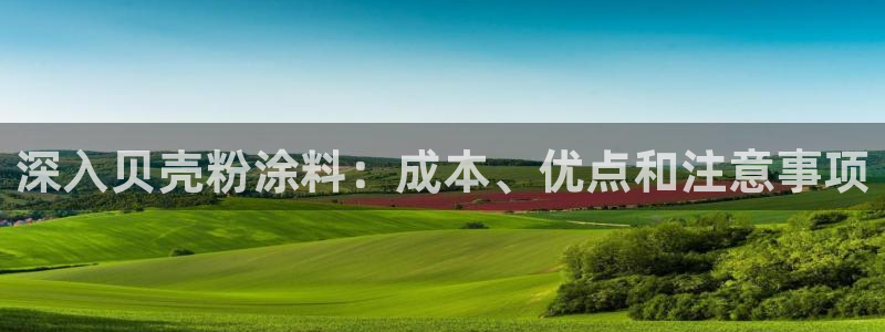 爱游戏马竞官方平台