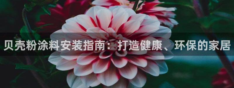 爱游戏官方app平台