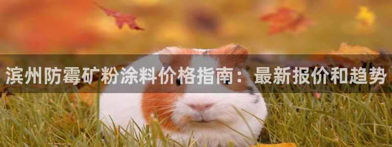 爱游戏官网登录在线入口