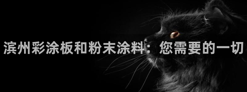 爱游戏官网进入