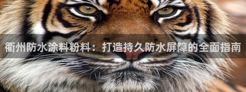 平台爱游戏