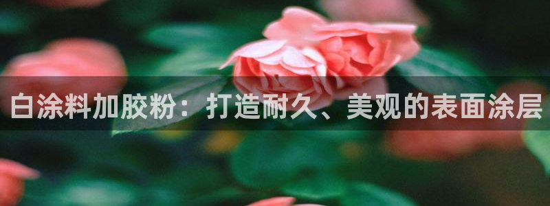 爱游戏平台靠谱吗