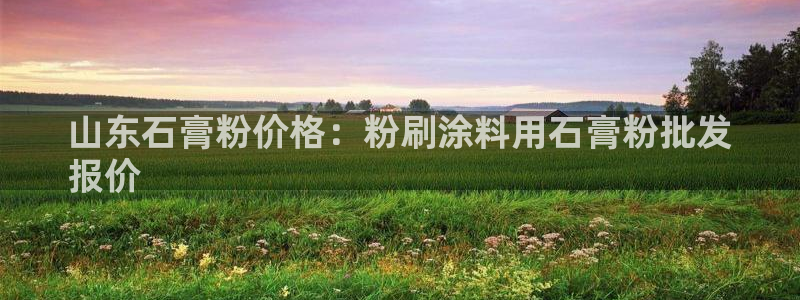爱游戏官网赞助意甲2019