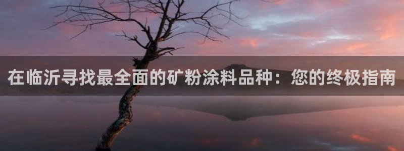 平台爱游戏