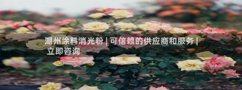 爱游戏官网手机