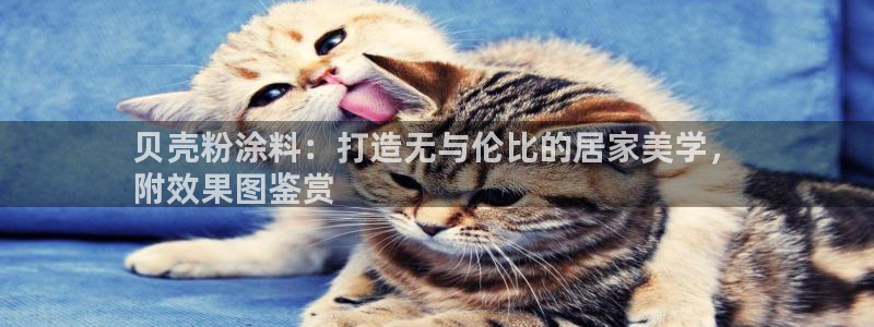 爱游戏官方app平台