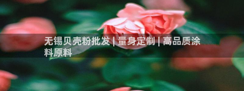 爱游戏open平台