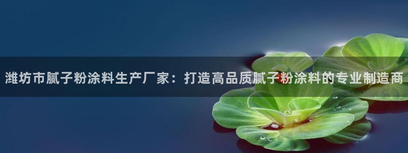 爱游戏手机官网