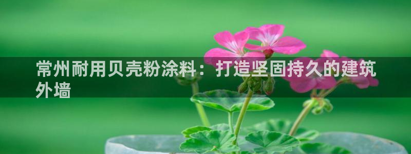 爱游戏官网平台入口ayx