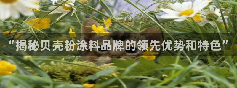 爱游戏平台app
