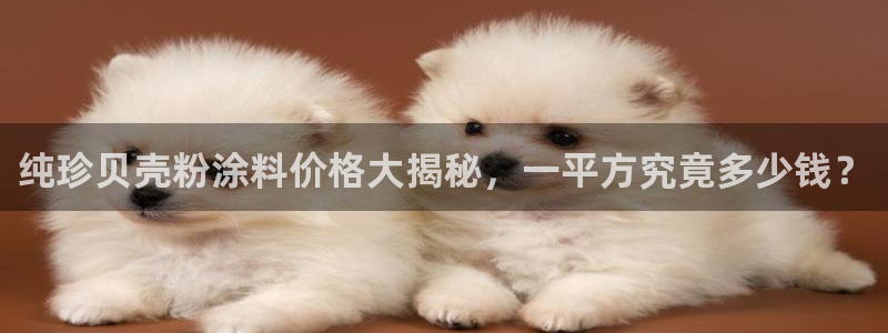ayx爱游戏官网平台