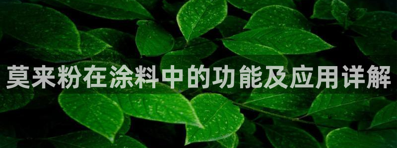 爱游戏是正规平台