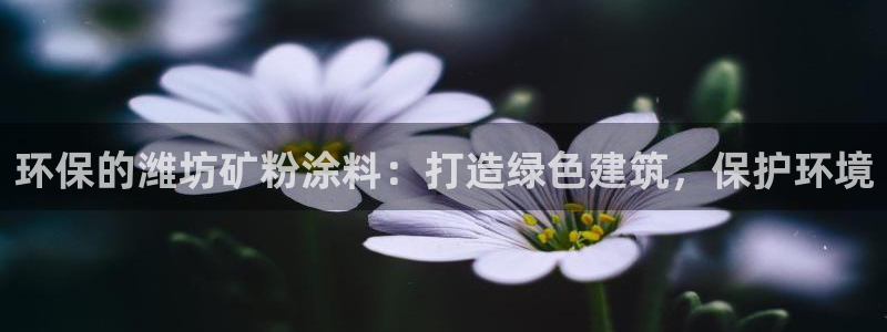 爱游戏电子竞技平台官网首页：环保的潍坊矿