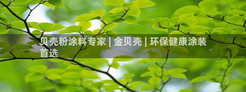 爱游戏开放平台官网
