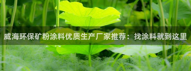 爱游戏官网登录：威海环保矿粉涂料优质生产