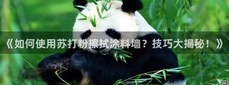 爱游戏全站官网入口