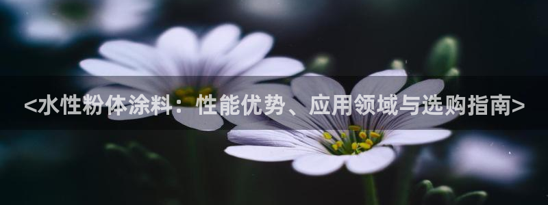 爱游戏平台信誉好