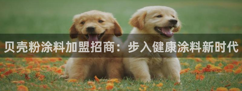 爱游戏app手机版官网