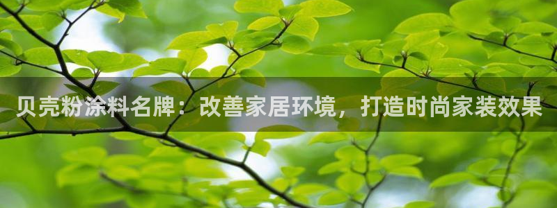 爱游戏电竞官网入口
