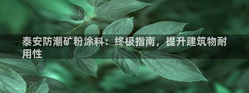 爱游戏平台最新版