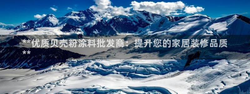 爱游戏app官网有实力04