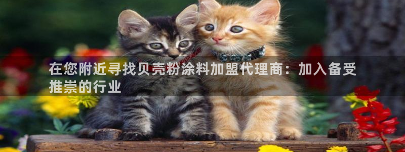爱游戏官网打开