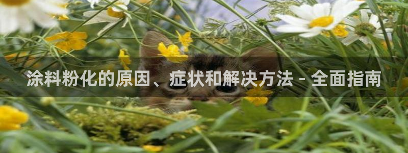 爱游戏app官网信誉好