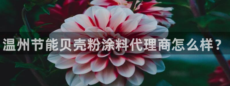 爱游戏app官网有实力06