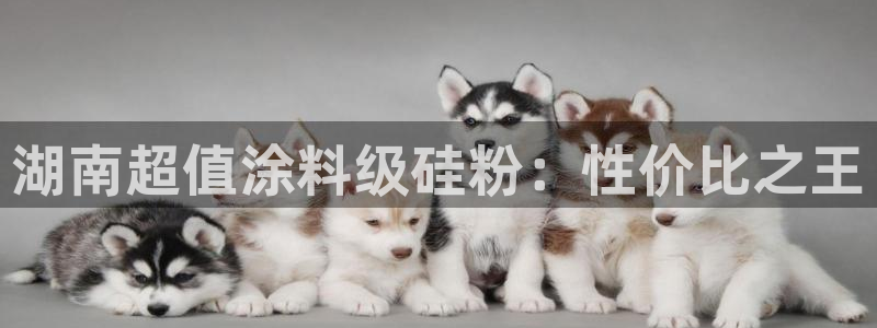 爱游戏全站app在线平台：湖南超值涂料级