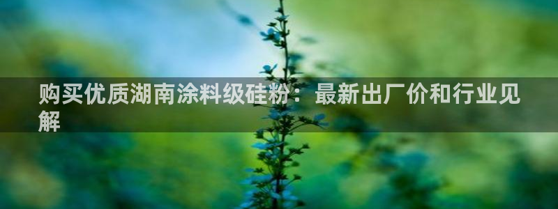 爱游戏app官方入口最新版