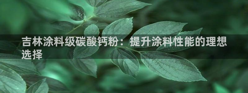 爱游戏网页登录入口官网：吉林涂料级碳酸钙