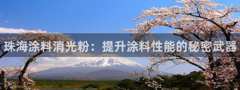 爱游戏官网：珠海涂料消光粉：提升涂料性能